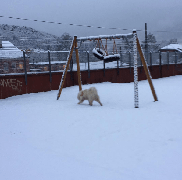 skjermbilde-2017-02-22-18-27-51