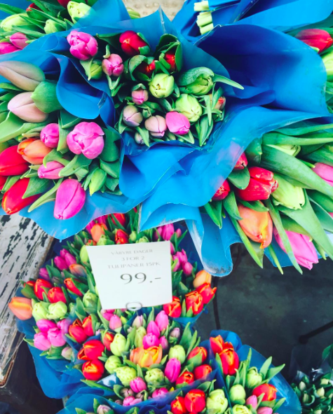 Skjermbilde 2017-03-25 11.35.15