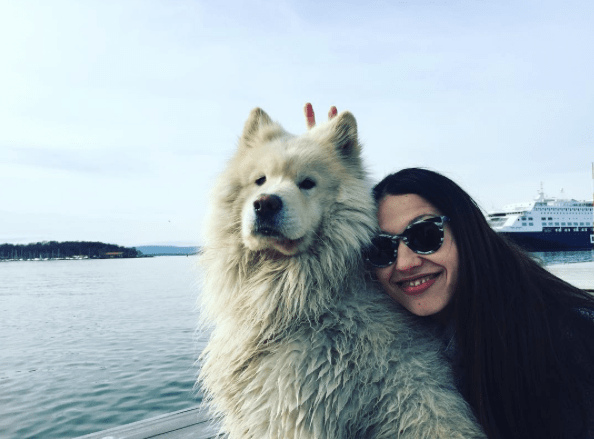 Skjermbilde 2017-03-26 14.29.27