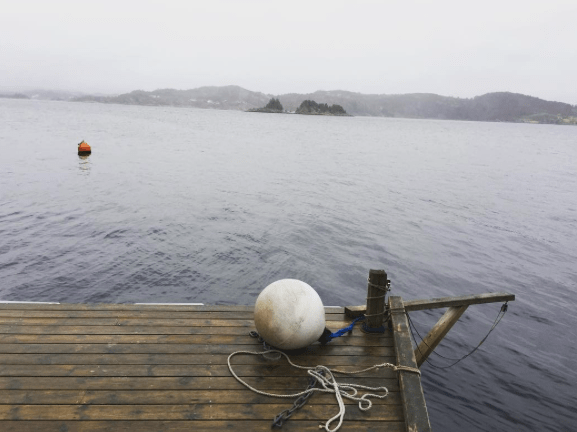 Skjermbilde 2017-04-02 15.36.59.png