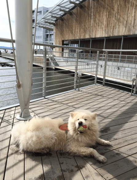 Skjermbilde 2017-04-10 19.14.29.png