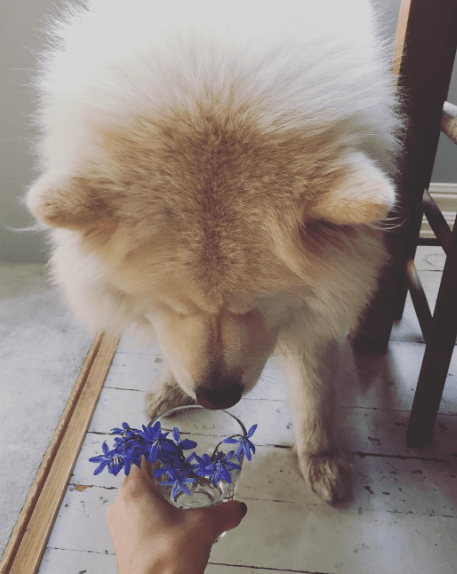 Skjermbilde 2017-04-10 19.14.45.png