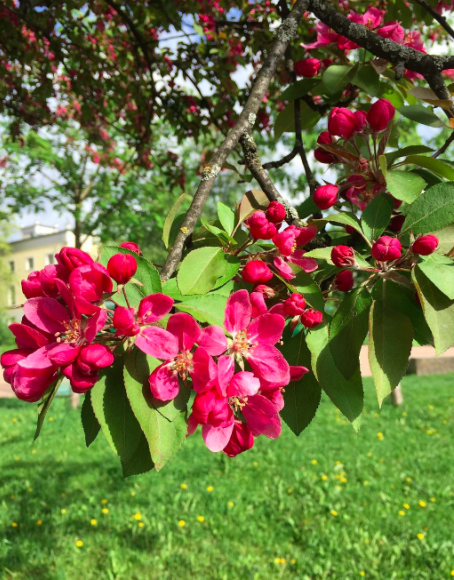 Skjermbilde 2017-05-20 10.56.57.png