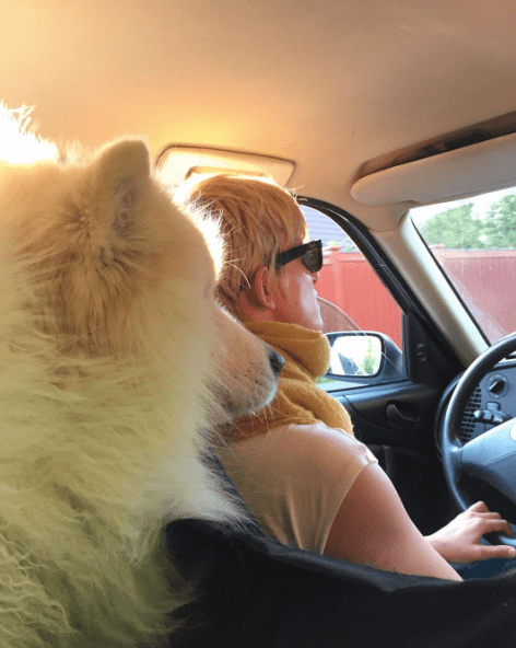 Skjermbilde 2017-07-27 10.27.11.png