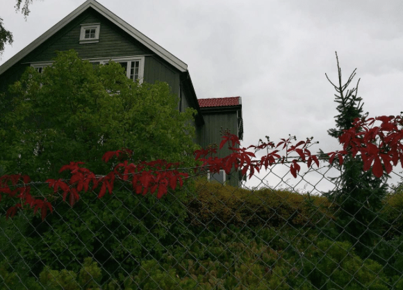 Skjermbilde 2017-09-29 11.27.23.png