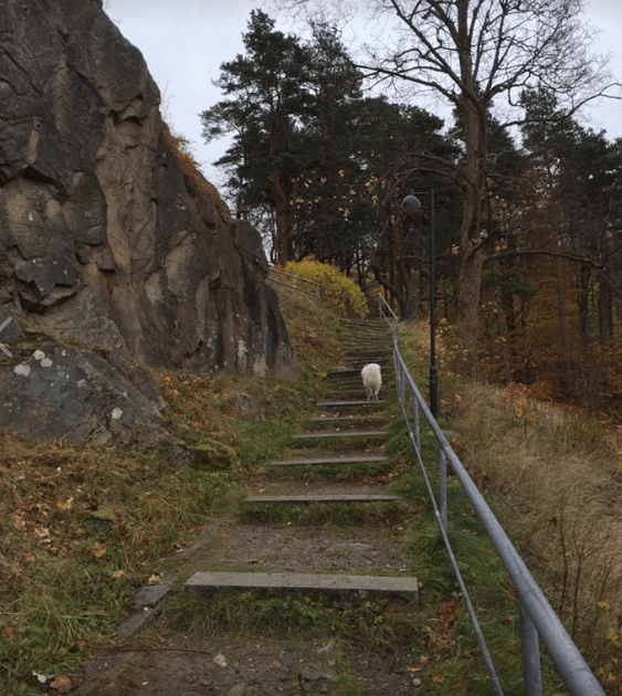 Skjermbilde 2017-11-01 kl. 18.19.14.png