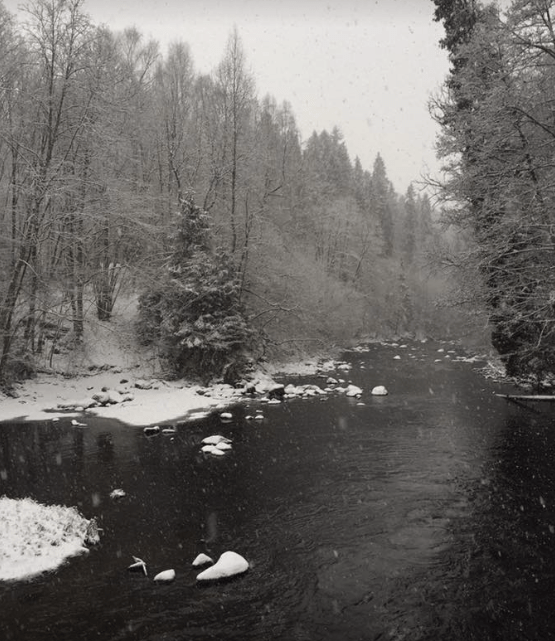 Skjermbilde 2017-11-14 kl. 12.08.56.png