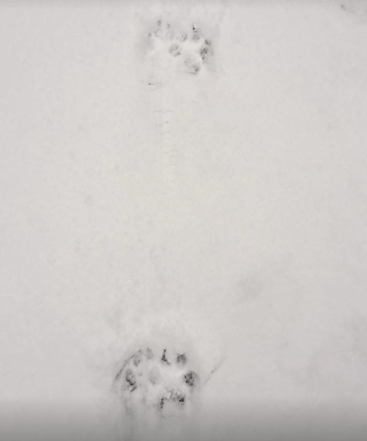 Skjermbilde 2017-11-14 kl. 12.09.06.png