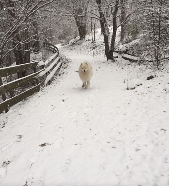 Skjermbilde 2017-11-14 kl. 12.09.31.png