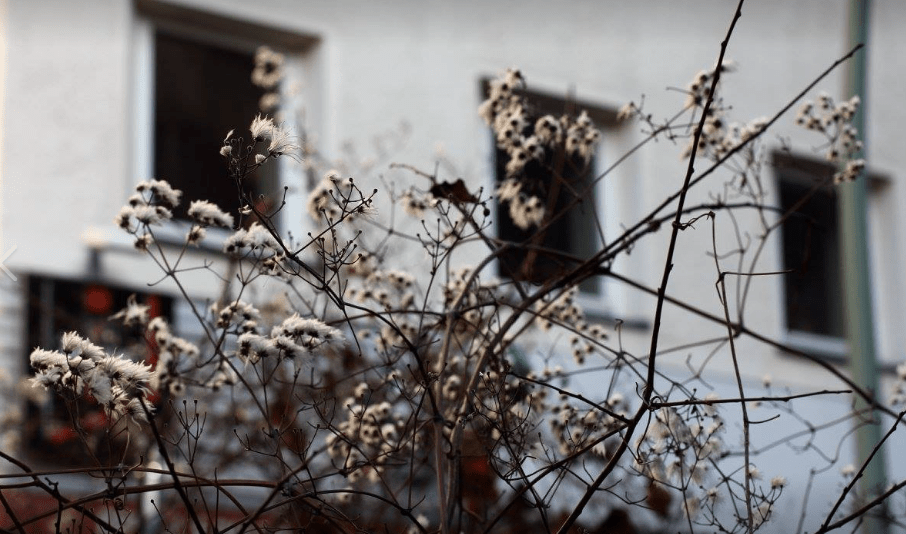 Skjermbilde 2018-02-08 kl. 10.11.22.png