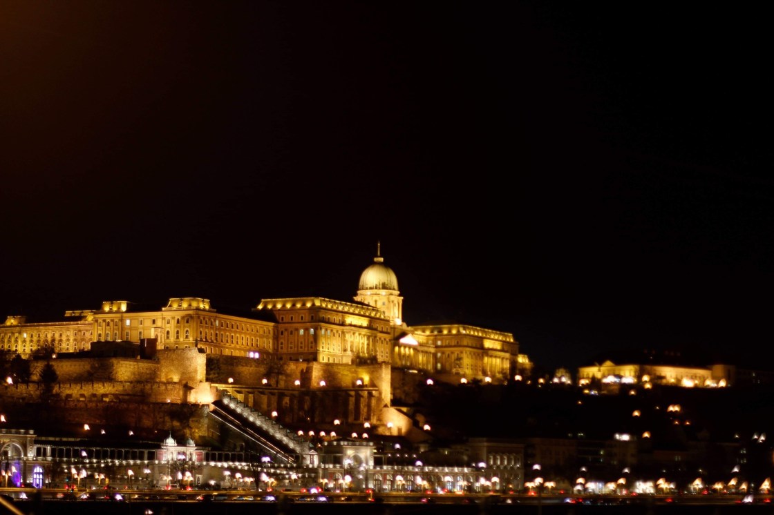 47682299_551660405305631_7397084966875561984_n