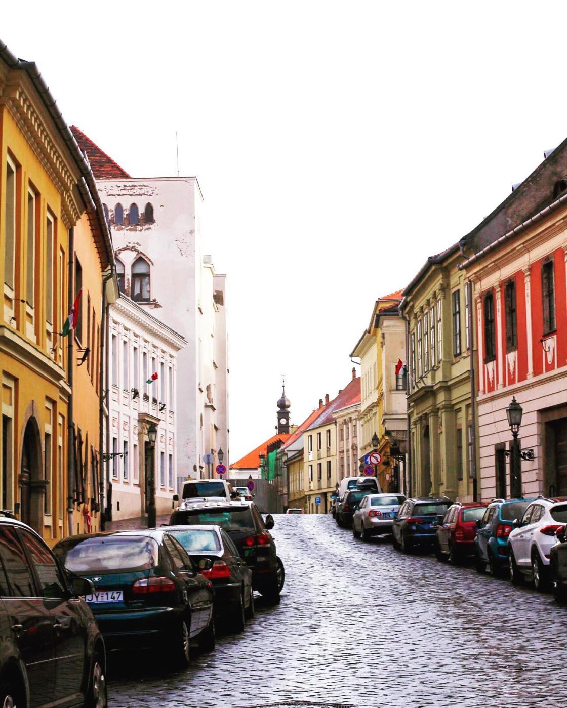 48370269_2490597650969393_5421026288431267840_n