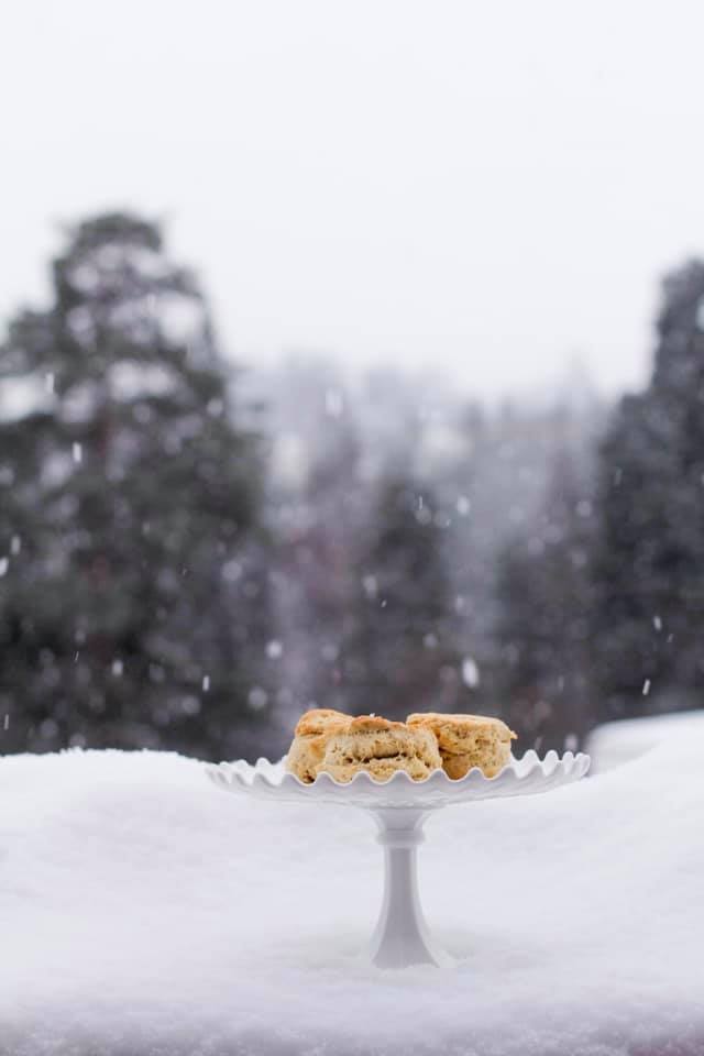 50532287_10155947384501711_8714140244426883072_n