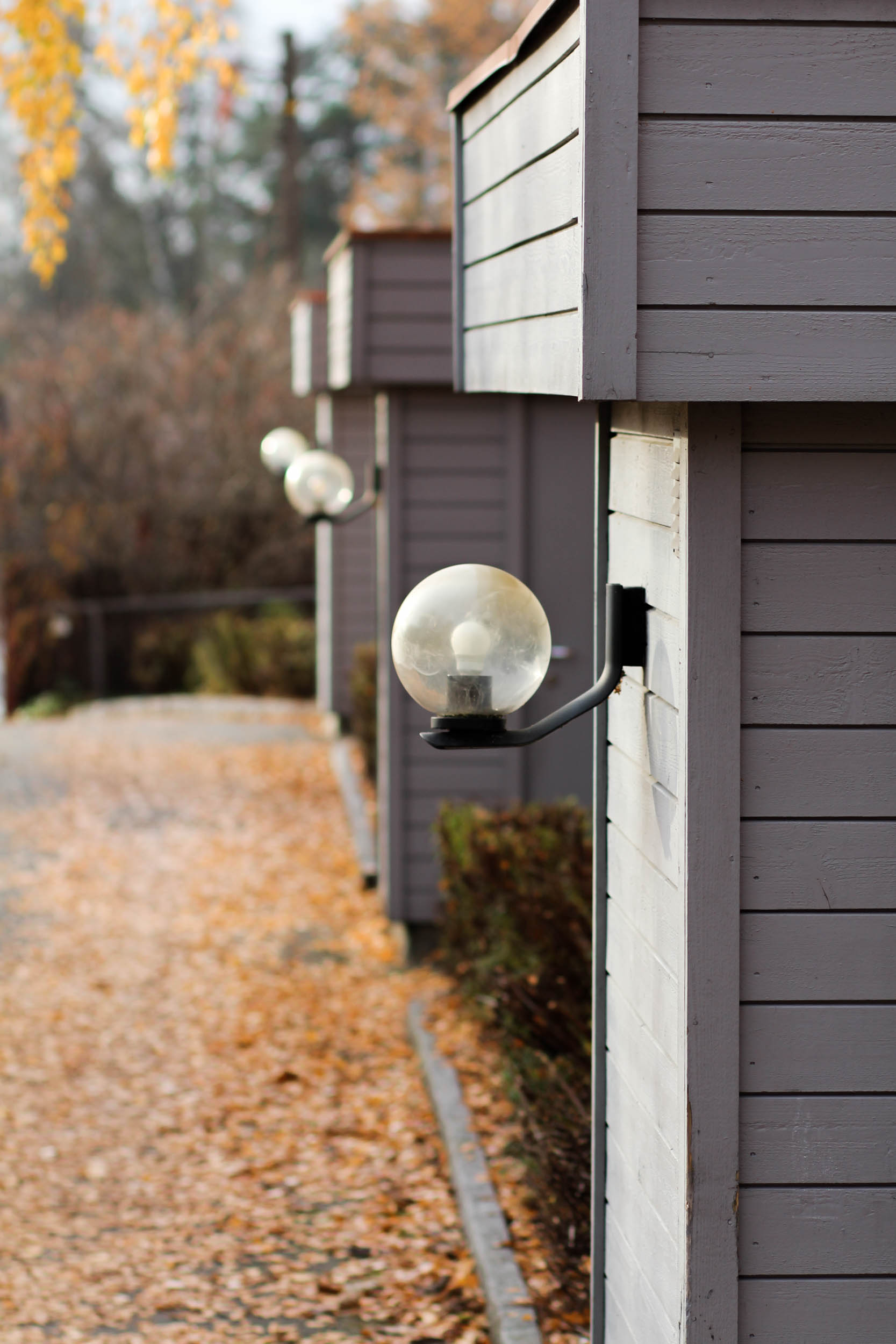 untitledAlina Tran12019-8.jpg