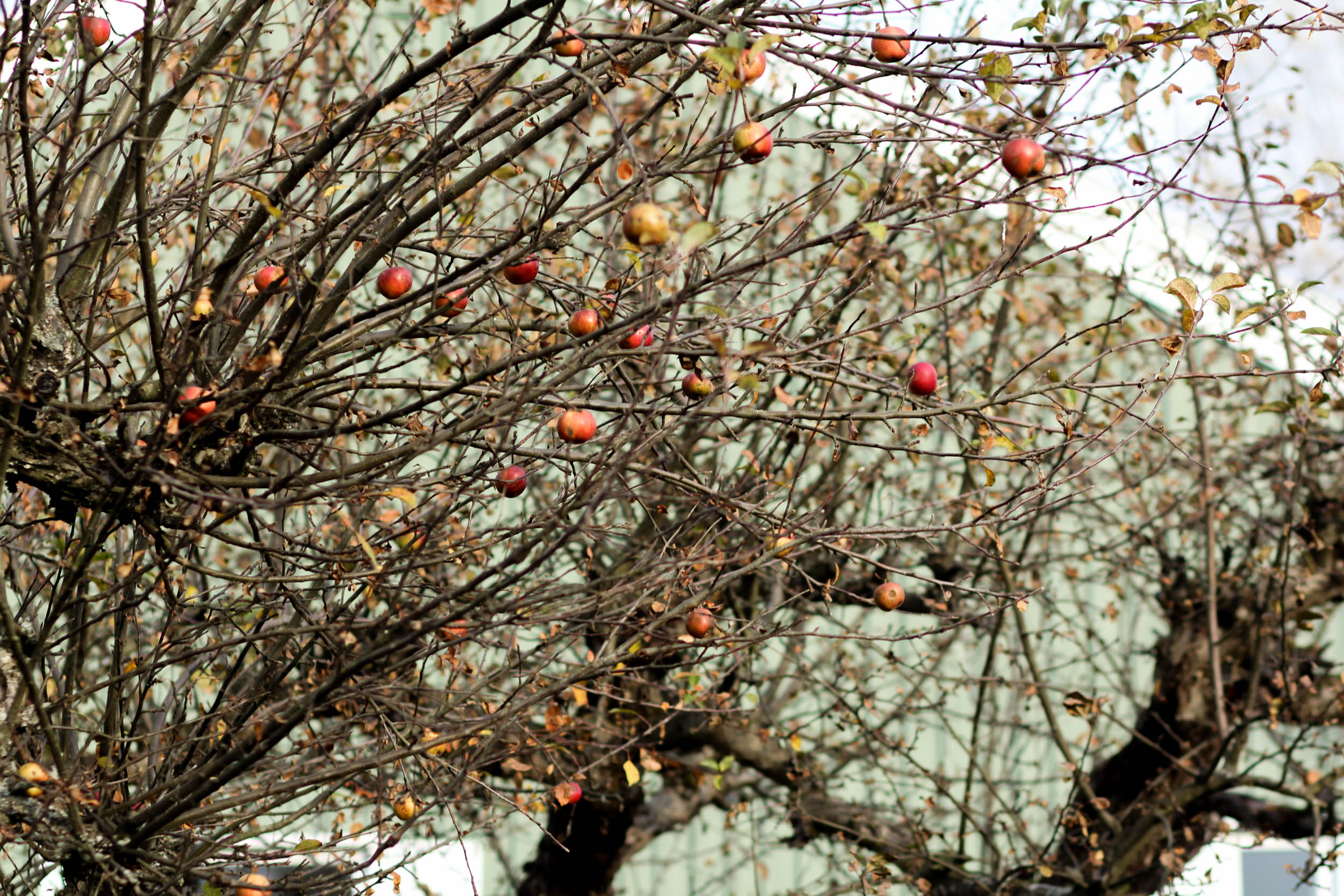 untitledAlina Tran12019-9.jpg