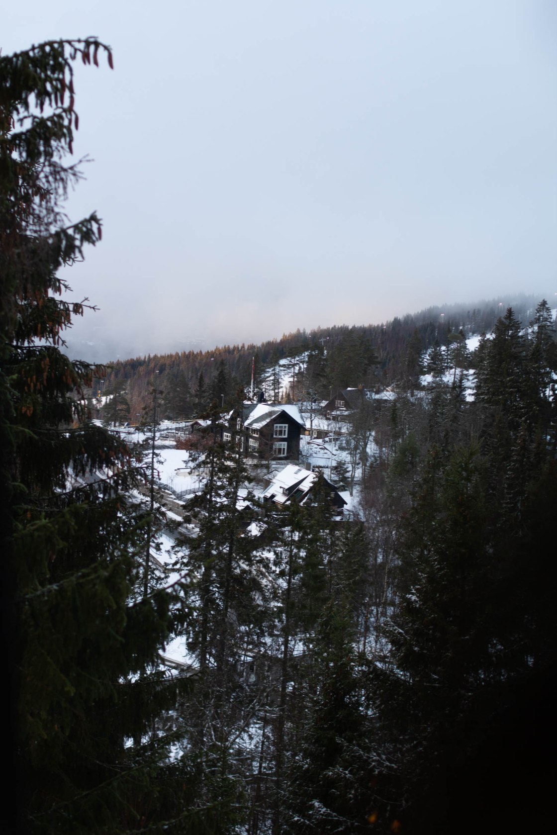 untitledAlina Tran12019-10