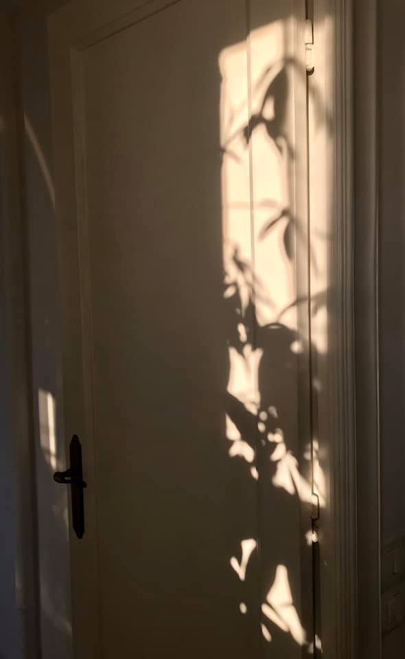 81471149_10156756770091711_310175945342320640_n